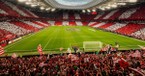 World Cup Soccer Fandom Spotlights the Human Need for Belonging