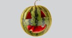 Summerween Reveals Why We Keep Searching for Joy That Lasts 