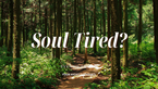 Rest for a Midyear-Weary Heart | Your Nightly Prayer