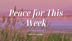 Peace Before a New Week | Your Nightly Prayer
