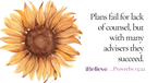 Your Daily Verse - Proverbs 15:32 - August 9th