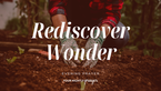 Restoring Wonder in the Middle of Responsibility | Your Nightly Prayer