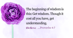 Your Daily Verse - Proverbs 4:7 - August 22nd