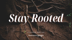 Entering a New Season Rooted in God | Your Nightly Prayer