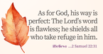 Your Daily Verse - 2 Samuel 22:31 - October 8th