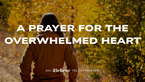 A Prayer for the Overwhelmed Heart | iBelieve Truth: A Devotional for Women