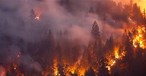 5 Things You Should Know about the California Wildfires