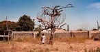 Funeral Held for Eight Christians Killed in Easter Procession in Nigeria