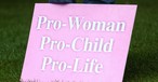 Pro-Lifers Drop Suit against Michigan Governor, Detroit Police after Governor Rolls Back Restrictions on Protesting amid Stay-at-Home Orders