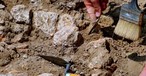 'A Rare and Exciting Find': 3,000-Year-Old Fortress from Time of King David Unearthed by Israeli Archeologists