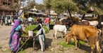 Police in India Allow Hindu Extremist Attack on Churches, then Arrest Christians