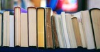 10-Year-Old Texas Boy Works to Collect 500,000 Books for Those in Need