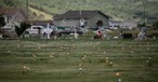 Empty Canadian Graves