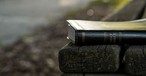 The Bible Could Become Tennessee's 'Official State Book' under New Bill