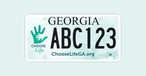 Georgia Unveils New 'Choose Life' License Plates