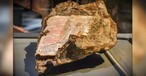 The Bible Verse Fused to 9/11 Rubble Exposes an Important Message