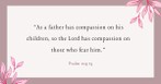 Your Daily Verse - Psalm 103:13