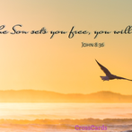 Your Daily Verse - John 8:36