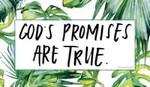 God's Promises Are True