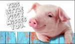 Piggy Misses You