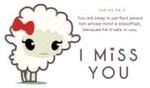 Miss You Lamb