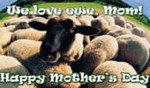 We Love Ewe, Mom!