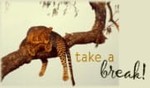 Take A Break!