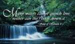 Many Waters Cannot Quench Love