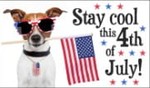Stay Cool July 4th