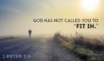 You were not called to fit in!