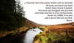 A prayer for stillness when life is rushed