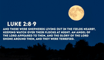 What would you do if you suddenly saw angelic beings come from the sky? - Luke 2:8-9