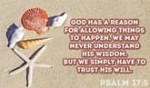 I trust HIM with Everything!