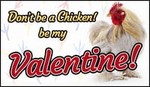 Don't Be a Chicken! Be My Valentine