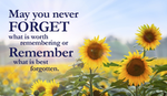 Some things are best forgotten, but let's remember the things that are worth remembering!