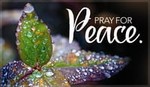 Pray for Peace