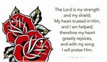 Psalm 28:7