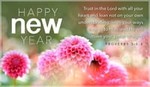 Happy New Year -Proverbs 3:5-6