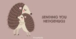 Hedgehugs