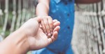 How Discipling Our Children can Change a Generation 