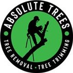 Absolute Trees