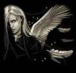 David Carter