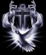Angel Shrout