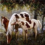Ashley Jones