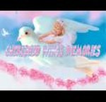 Cherished Wings Memories