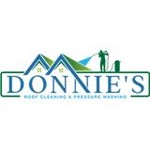 donnies roof cleaning