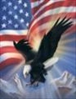 EagleXYZ NFC