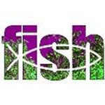 Fish Hub