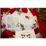 tammy allen-schenke