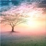 Healing Through Hope